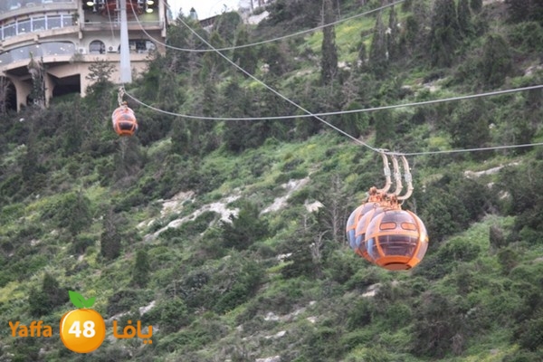 re7la7efa483 (172).JPG